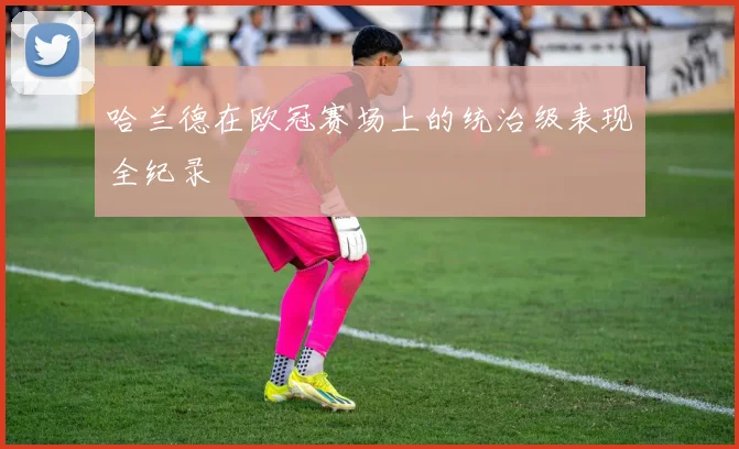哈兰德在欧冠赛场上的统治级表现全纪录